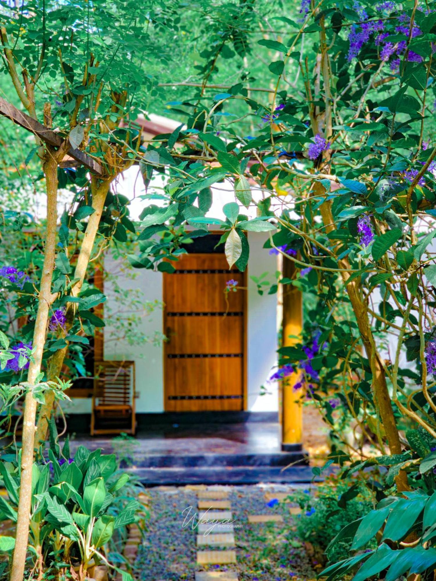 Bright Sun Safari Hotel Udawalawe Ngoại thất bức ảnh